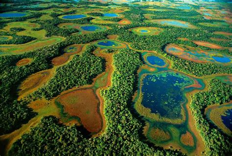 Cultura Guaraní: El Pantanal de Mato Grosso