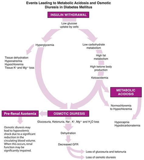 Osmotic diuresis defined & osmotic diuresis causes