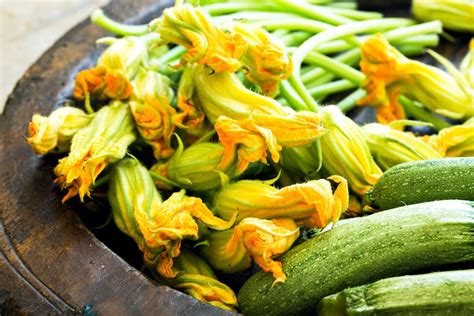 How to cook with beautiful, edible squash blossoms! | Zucchini flowers, Savory pumpkin recipes, Food