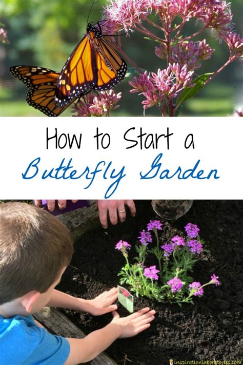 How to Start a Butterfly Garden | Inspiration Laboratories