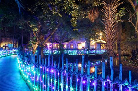 'Zoo Lights' twinkling at Palm Beach Zoo - South Florida on the Cheap