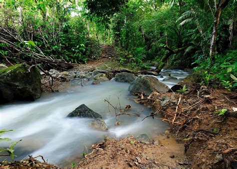 Visit Darién on a trip to Panama | Audley Travel UK