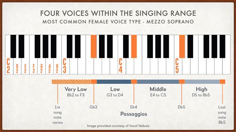 Find Your Vocal Range and Voice Type Test | VOCAL NEBULA