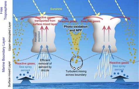 Mechanism of new particle formation in a decoupled marine boundary... | Download Scientific Diagram