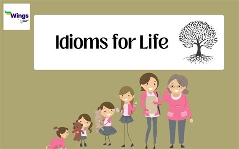 Idioms for Life: 7 Useful Phrases for Wisdom and Expression