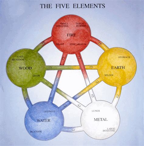 Introduction to Five Elements - South Scarborough Acupuncture