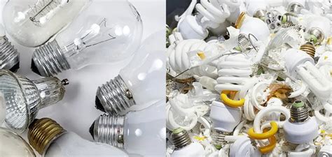 How to Dispose of Light Bulbs | 7 Effective Solutions (2024)