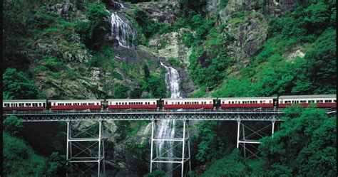 Kuranda Scenic Railway & Skyrail (Inc Cairns Transfer) - RTW Backpackers