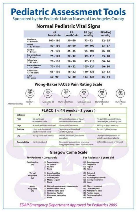 Pediatric Nursing Tools Poster