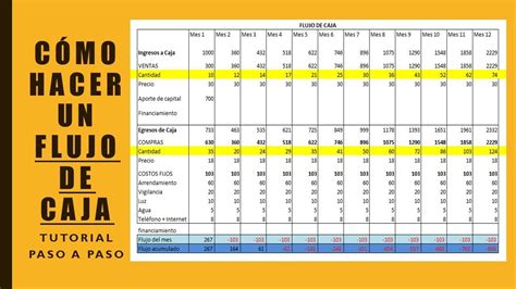 Como hacer un flujo de caja en Excel| Paso a Paso - YouTube