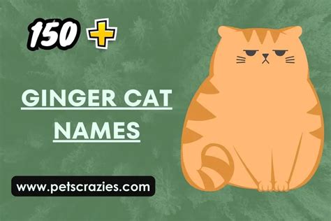 150+ Ginger Cat Names - Funny And Cute Ideas