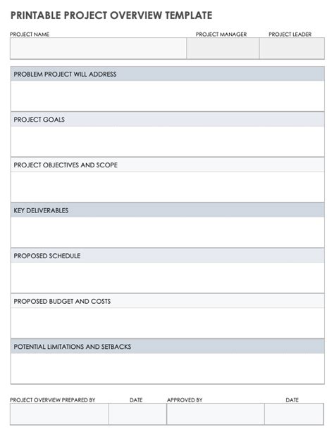 Project Overview Template