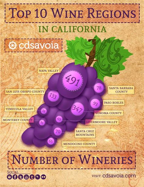 Top Wine Regions in California - Infographic