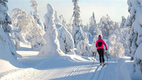 A Beginners Guide To Cross Country Skiing – Tahoe Mountain Sports