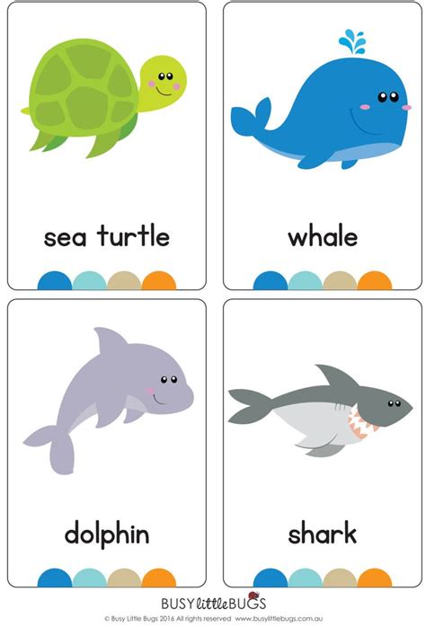 Ocean Flash Cards Sea Creatures Ocean Animals Flash - Etsy | Flashcards for kids, Animal ...