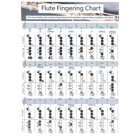 Octpeak Flute Fingering Chart,Flute Fingering Practice Chart,Flute Fingering Chord Chart ...