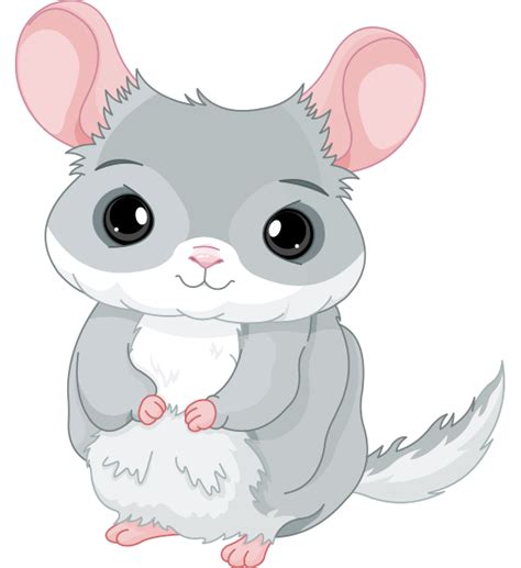 Cuddly Chinchilla | Chinchilla cute, Cute animals, Chinchilla