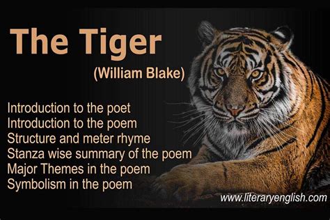 The lamb and the tyger. William Blake’s “The Lamb” & “The Tyger”. 2022-11-02