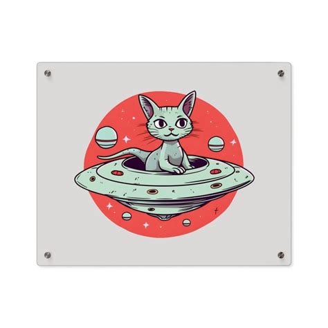 Acrylic House Decoracrlyic Signufo Space Kitty Acrylic Wall - Etsy