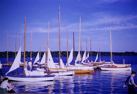 Lake Harriet Rose Garden – “Reflections” – David Tewes, Shutterbug