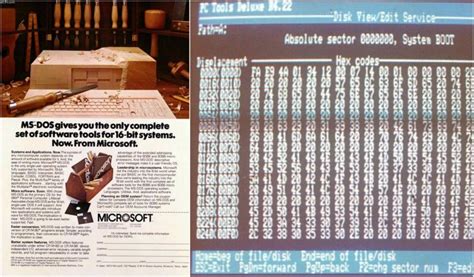 Brain -The first computer virus was created by two brothers from Pakistan. They just wanted to ...