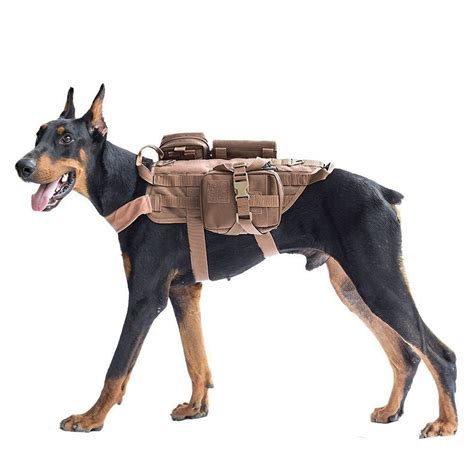 Dog Outdoor Vest Pitbull Training Equipment