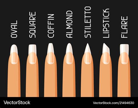 Nail shapes and sizes - bastawm