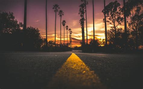 Download wallpapers USA, 4k, road, sunset, yellow lines, palms, America for desktop free ...