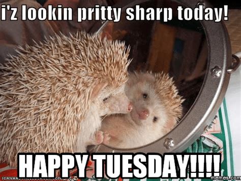 15 Happy Tuesday Memes - Best Funny Tuesday Memes