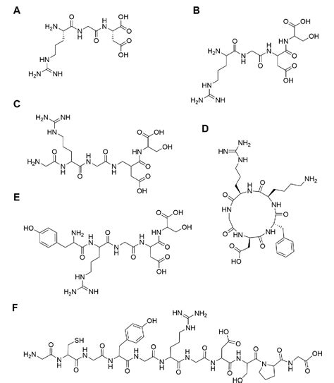 Function and Mechanism of RGD in Bone and Cartilage Tissue Engineering ...