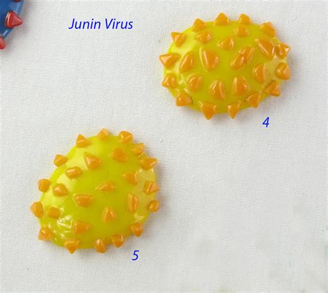 Junin Virus by trilobiteglassworks on DeviantArt