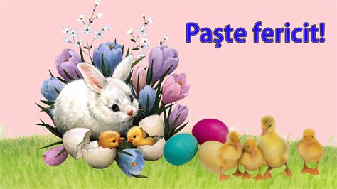 poze urari de paste - Căutare Google | Happy easter wallpaper, Easter wallpaper, Easter bunny ...