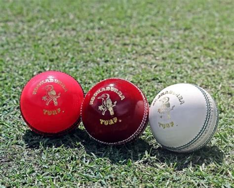 Cricket ball Type, Weight, Price, Name, All You Need To Know About