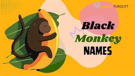 45+ Black Monkey Names in 2023!