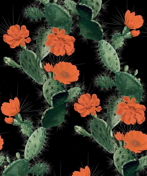 Cactus Wallpaper • Bold Alluring Cacti Design • Milton & King