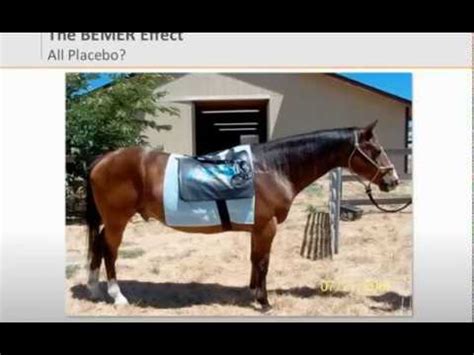 Bemer for Horses - YouTube