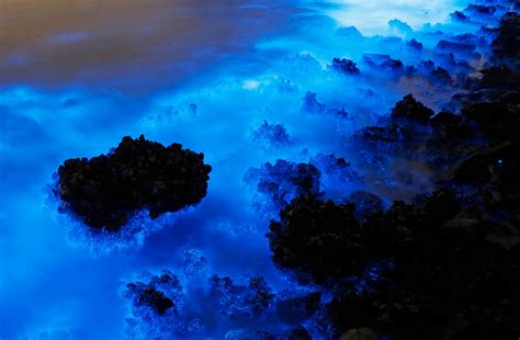 Toxic pollution creates amazing neon-blue algae blooms | SBS News