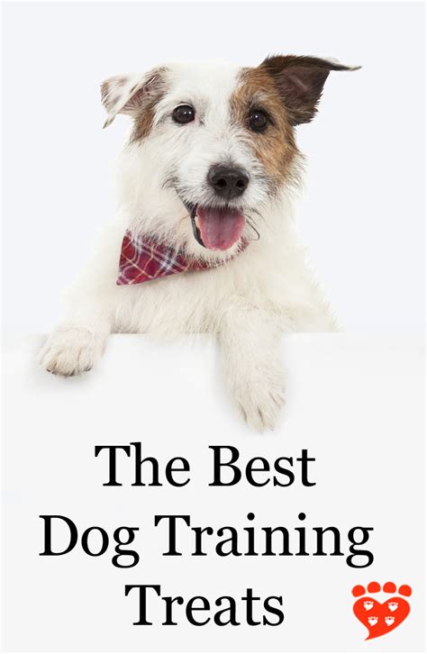 The Best Dog Training Treats