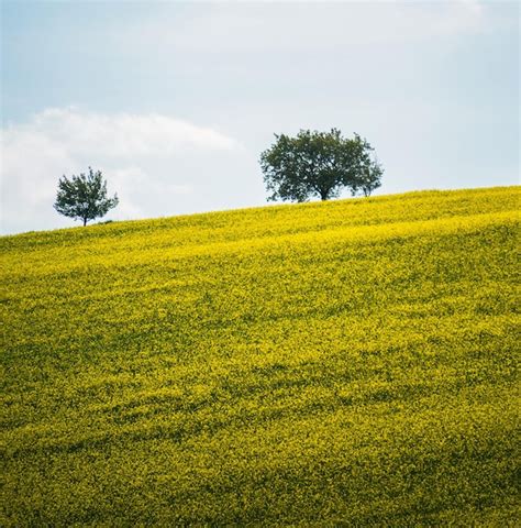 Premium Photo | South moravia landscape and farmland at sunrise