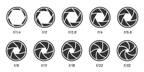 What Is the Aperture in Photography?