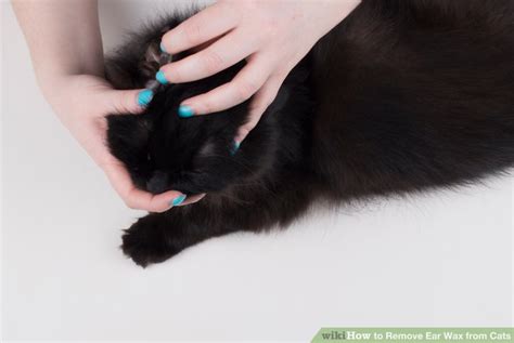 How to Remove Ear Wax from Cats: 14 Steps (with Pictures)