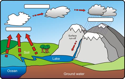 Diagram Of Water Cycle With Labelling