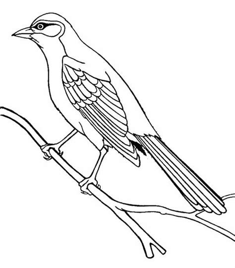 Guira Cuckoo Bird Coloring Pages : Coloring Sky | Animal coloring pages, Bird coloring pages ...