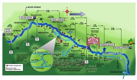 Weeki Wachee River Map - Living Room Design 2020