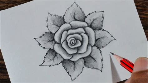 How to draw a Rose step by step