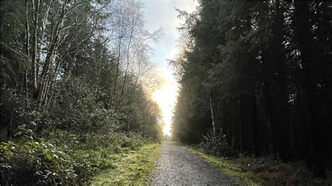 Ballykelly Forest - Ballykelly - Causeway Coast & Glens