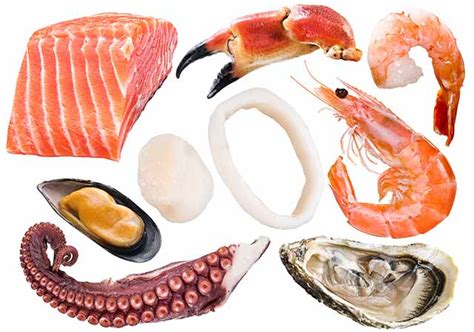 24 Healthy Types of Seafood: the Best Options - Nutrition Advance