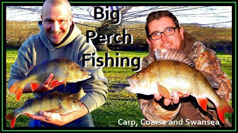 Perch Fishing ***. Big Perch Fishing. Video 162 - YouTube