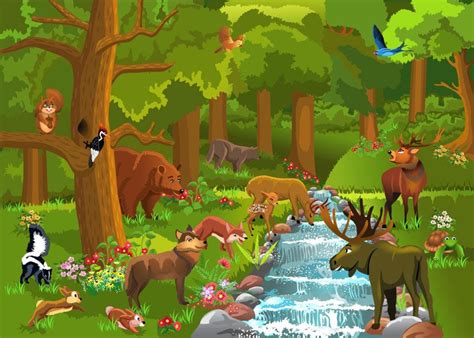 Forest cartoon, Forest animals illustration, Illustration