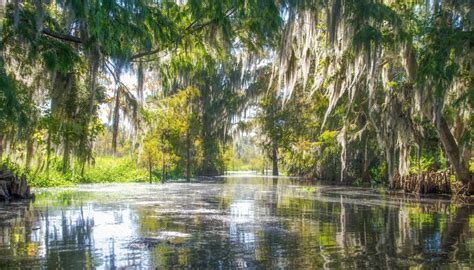 Canal to Cross Creek | Florida Paddle Notes